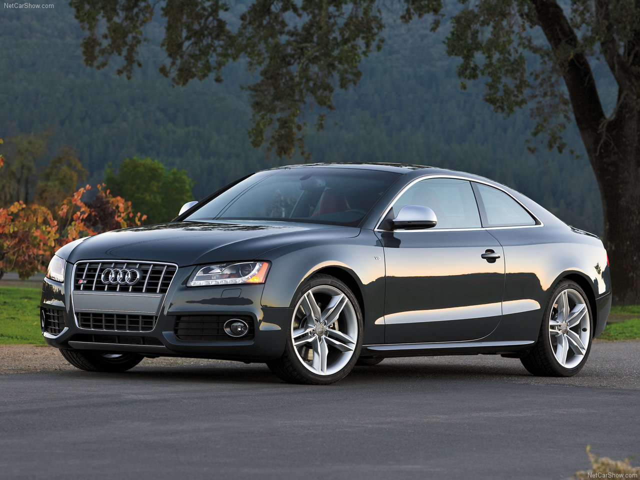 Audi S5 Coupe